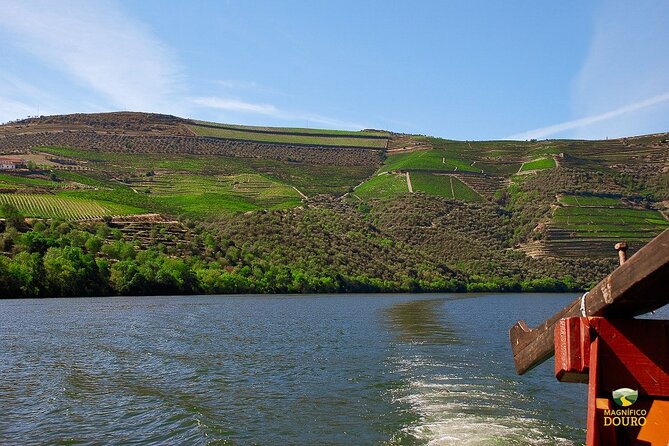 1-Hour Rabelo Boat Trip in Pinhão - Floating Past Douro Vineyards From Pinhão to Roncão
