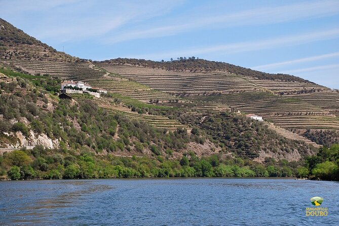 1-Hour Rabelo Boat Trip in Pinhão - Audio Guidance With the Magnifico Douro App (Headphones Are Key)