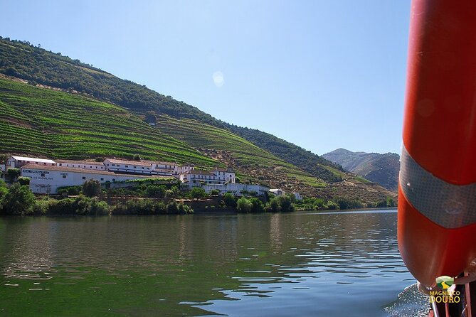1-Hour Rabelo Boat Trip in Pinhão - Price and Value: Why $18 Makes Sense Here