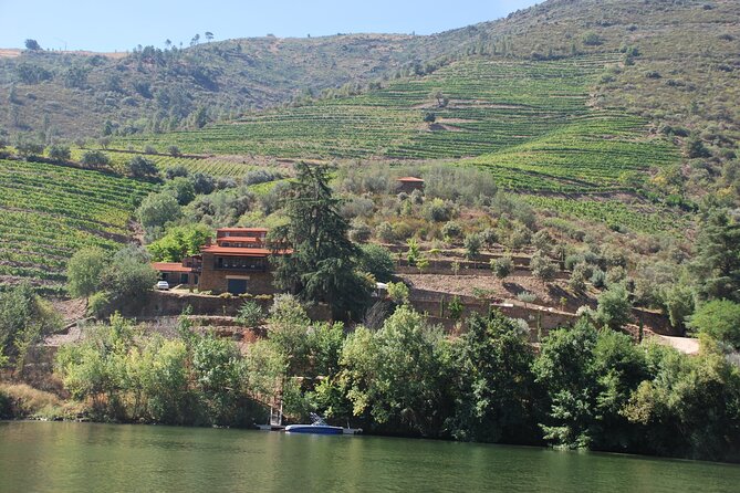 2-hour Rabelo Boat tour in Pinhão - Boat size, crowding, and why boarding time matters