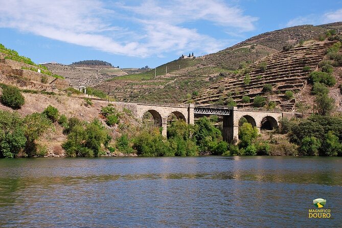 2-hour Rabelo Boat tour in Pinhão - What you actually see: UNESCO Douro scenery and terrace vineyards up close