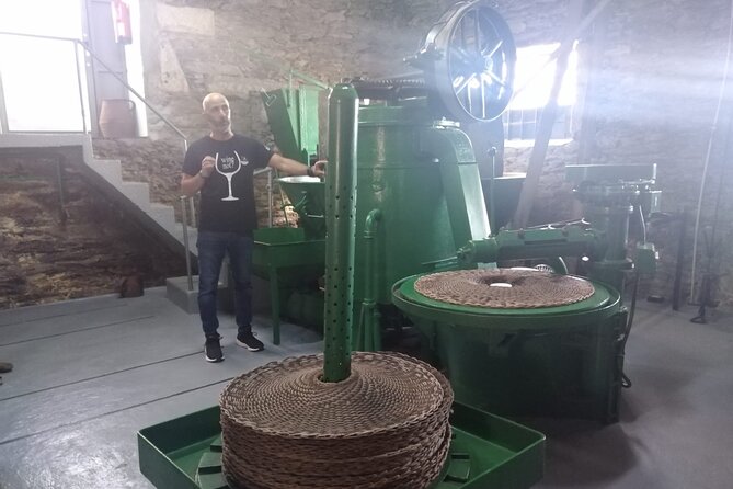 3-Hour Tour to Discover Pinhão - Moment of Discovery - Price and Value: Is $66.37 a Good Deal?