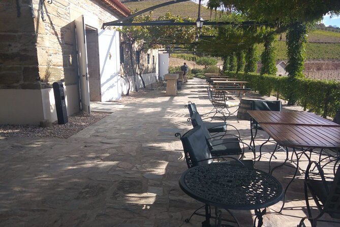 3-Hour Tour to Discover Pinhão - Moment of Discovery - Who This Tour Fits Best (and Who Might Want Something Else)