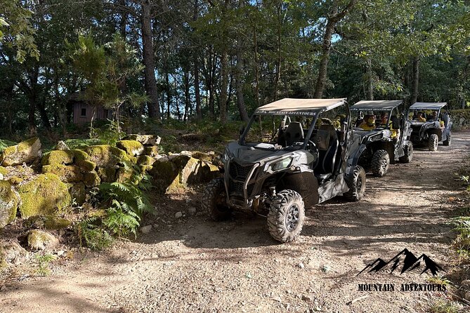 30 minutes Buggy Ride - Key Things I’d Watch For Before You Book