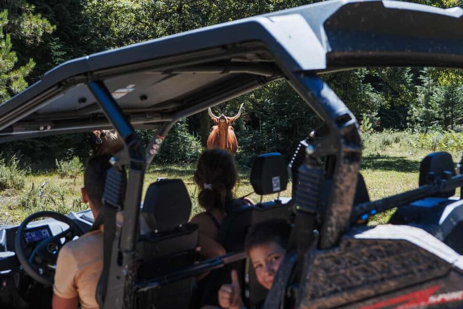 4h Buggy Tour • Arcos de Valdevez • Peneda Gerês - Peneda-Gerês National Park, the Vez River Valley, and Forest Magic