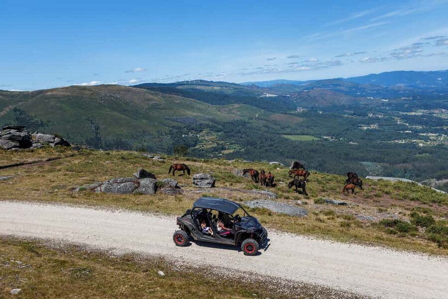 4h Buggy Tour • Arcos de Valdevez • Peneda Gerês - The Real Deal Off-Road: Uneven Ground, Rocks, Holes, and Mud