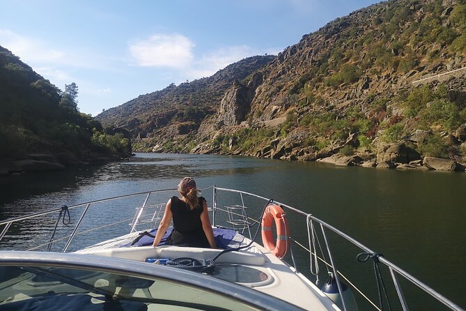 4H Private Boat Trip on the Douro River - Feel the Nature - Sailing Back on the Douro: Photos, Playlist, and Port Wine Toasts