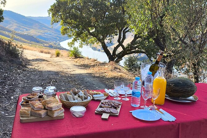 4x4 Adventure in Douro: Wine Tasting, Boat Trip and Lunch - A private 4x4 Douro day, not a checklist tour