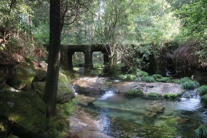 4X4 Tour - Discovering Serra d´ Arga - Why This 4x4 Alto Minho Day Trip Works So Well From Braga