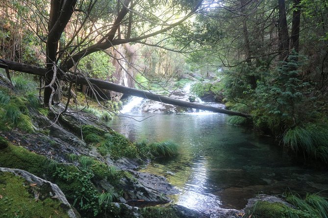 4X4 Tour - Discovering Serra d´ Arga - Local Gastronomy Along the Way: Sampling Without Making It a Food Tour