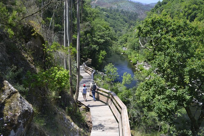 516 Arouca Bridge, Paiva Walkways and Aveiro Tour - Key things I’d circle before you go