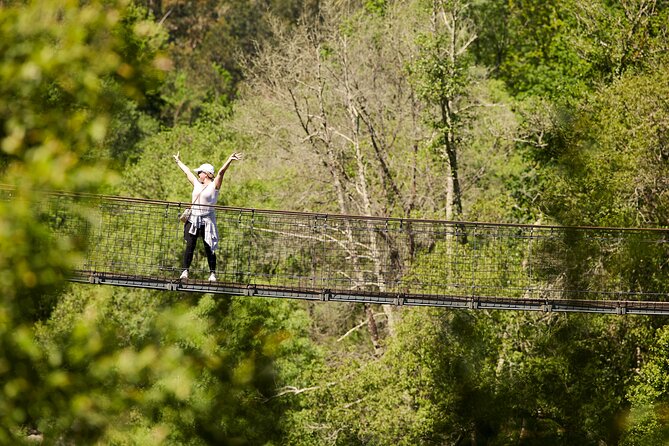 516 Arouca Bridge & Paiva Walkways Tour with Lunch from Porto - Crossing the 516 Arouca Suspension Bridge: The 175 m Drop View Moment