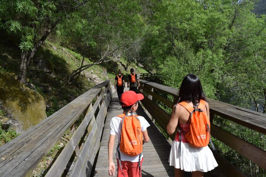 Alvarenga: Paiva Walkways and 516 Arouca Bridge Guided Tour - Meeting point in Arouca, then straight into the adventure