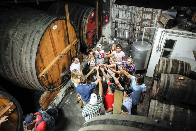 Authentic Small Group Douro Wine Tour with Lunch & River Cruise - A Douro day built for small groups, not big-bus chaos