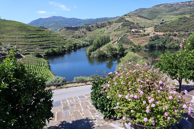 Authentic Small Group Douro Wine Tour with Lunch & River Cruise - The N222 road and viewpoints: when the best photos happen between stops