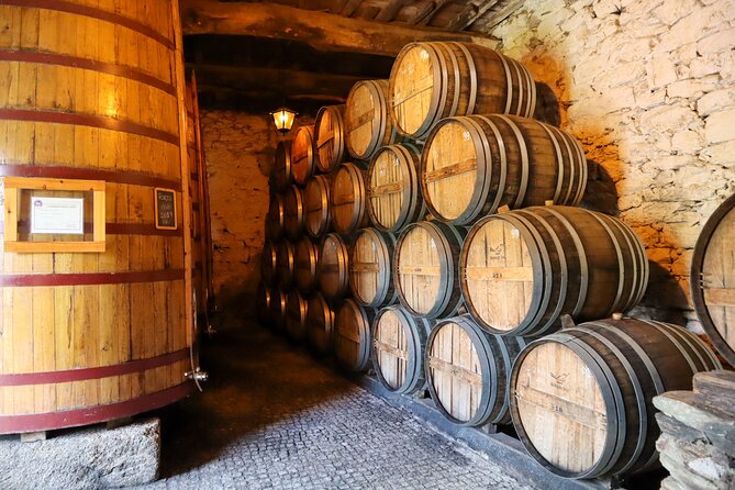 Authentic Small Group Douro Wine Tour with Lunch & River Cruise - Quinta do Beijo: small winery energy with owner-led tastings