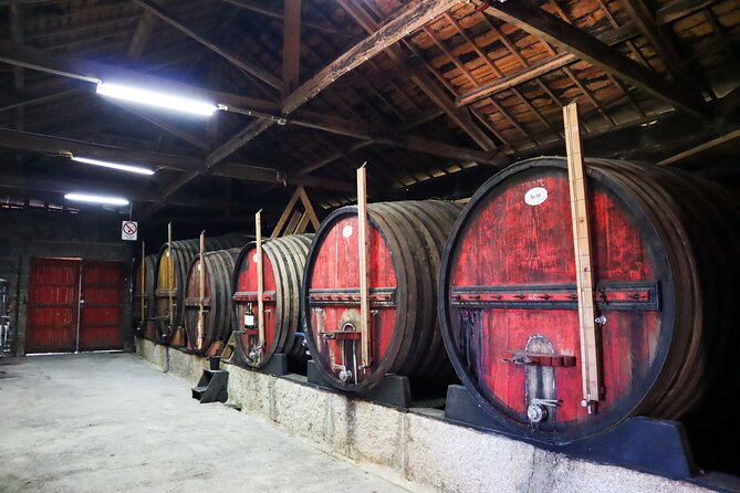 Authentic Small Group Douro Wine Tour with Lunch & River Cruise - Food in the Douro, plus how to handle dietary needs without stress