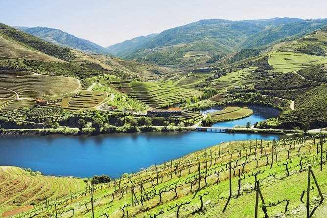Authentic Small Group Douro Wine Tour with Lunch & River Cruise - Porto pickup at 8:00 AM, then straight to the Douro rhythm