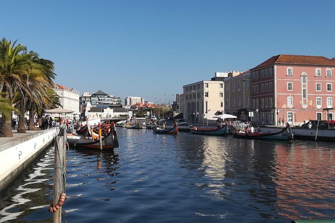 Aveiro and Coimbra Small Group Tour with Moliceiro Boat Cruise - Pacing and where you might wish you had more time