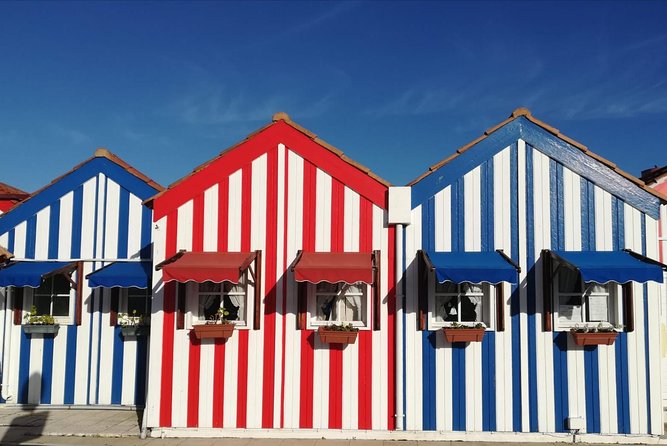 Aveiro and Coimbra Small Group Tour with Moliceiro Boat Cruise - Aveiro by Moliceiro boat, where Little Venice becomes real