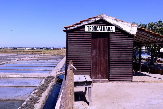 Aveiro and Costa Nova Half Day Tour from Porto with Boat Ride - The Moliceiro boat cruise is the star, and here is what 45 minutes really means