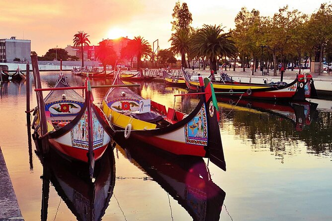 AVEIRO and COSTA NOVA Private Full Day Tour from Porto - Key highlights to look for