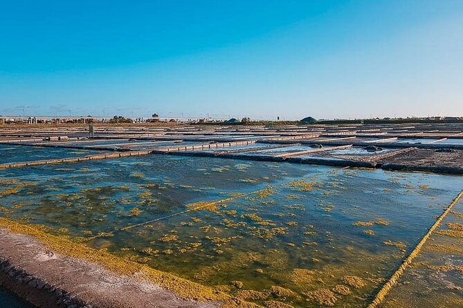 AVEIRO and COSTA NOVA Private Full Day Tour from Porto - Ovos Moles time: a sugar stop you can skip, but shouldn’t ignore