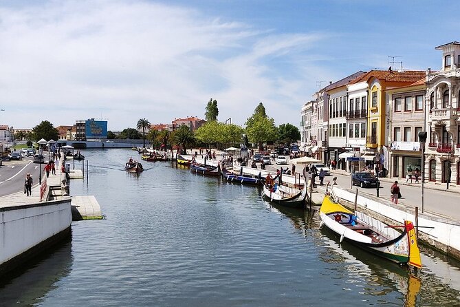 AVEIRO and COSTA NOVA Private Full Day Tour from Porto - Lunch around the fish market: time to eat, not a forced meal