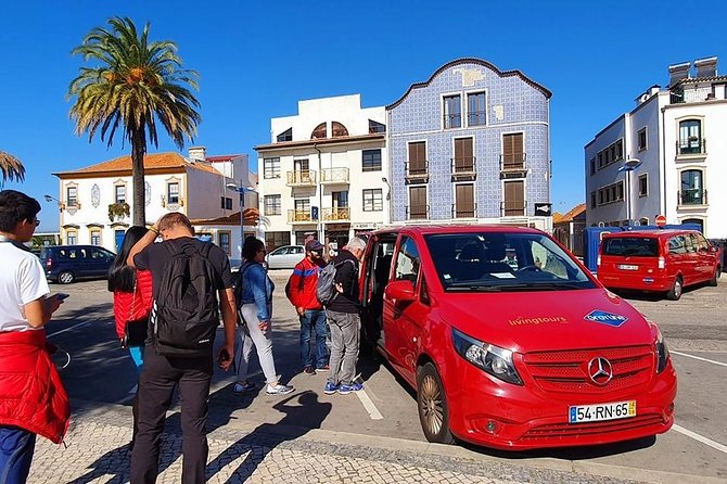 Aveiro and Costa Nova: Private Tour with Moliceiro Cruise Half Day - Your private minivan day: comfort, timing, and the value of not dealing with a plan