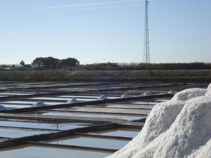 Aveiro: Boat Cruise and City Walking Tour with Sweet Tasting - Beira Mar on foot: fishermen and salt-worker streets, fish market energy, and real tile spotting