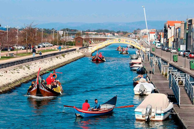 Aveiro Canal Cruise in Traditional Moliceiro Boat - What You’ll See on the Moliceiro Boat: Canals, Neighborhoods, and Saline Country Clues
