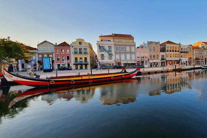 Aveiro Canal Cruise in Traditional Moliceiro Boat - Who This Tour Fits Best