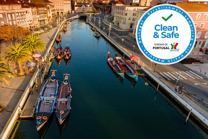 Aveiro Half Day Private Tour Porto w/ Moliceiro River Cruise - Key reasons this half day works