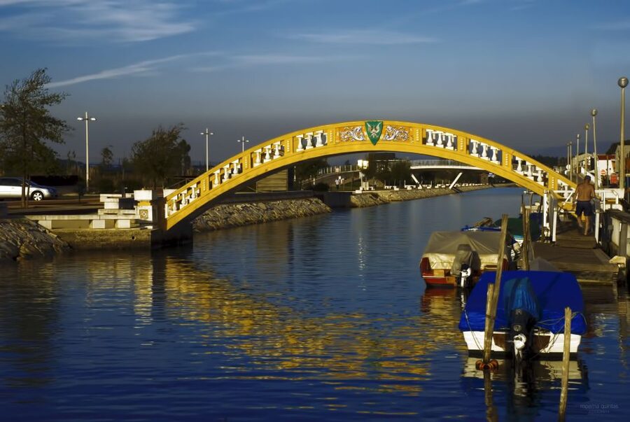 Aveiro: Half Day Tour with Boat Ride - The 4-Hour Flow, From Porto Pickup to Costa Nova