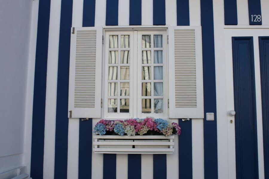 Aveiro: Half Day Tour with Boat Ride - Who This Tour Is Best For