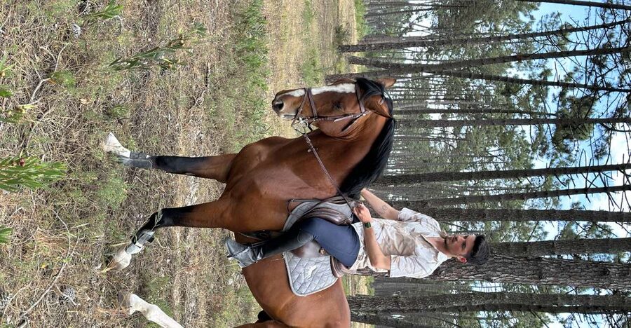 Aveiro: Horse Riding Experience with Instructor - The 6 km forest ride near Aveiro, plus that 1700s rural feel