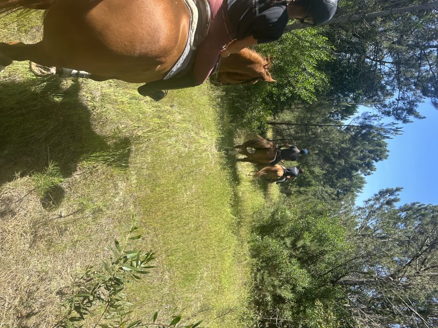 Aveiro: Horse Riding Experience with Instructor - Weather and timing: plan for the rhythm of the woods