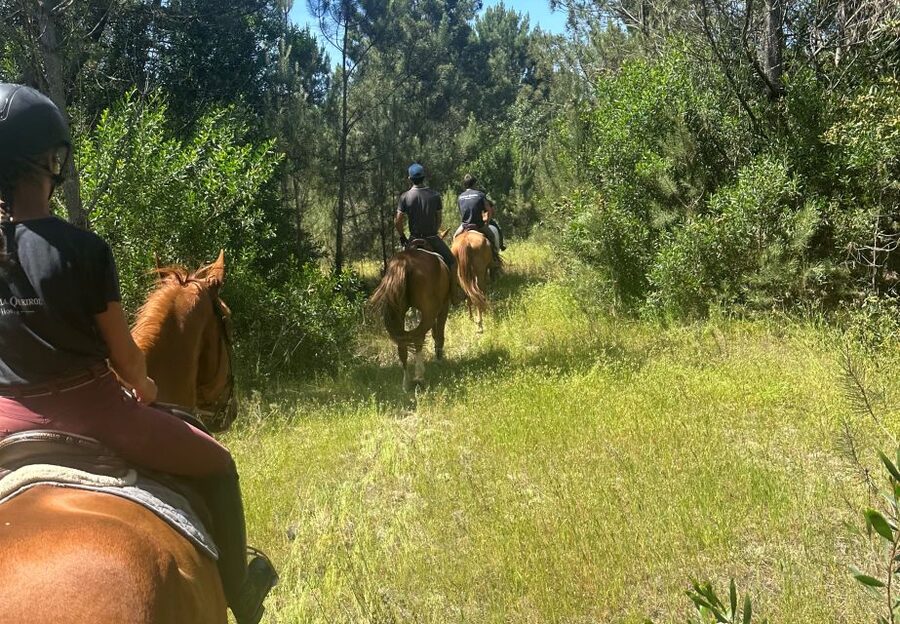 Aveiro: Horse Riding Experience with Instructor - Initial training for beginners: comfort first, speed never