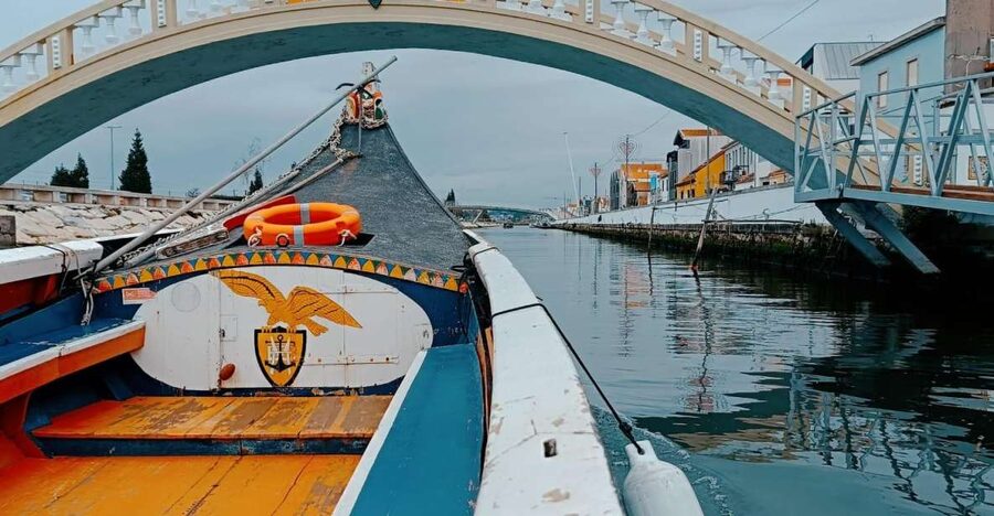 Aveiro: Private Walking Tour in the City and Moliceiro boat - The Shared Moliceiro Boat Ride, 45 Minutes of Canal Reality