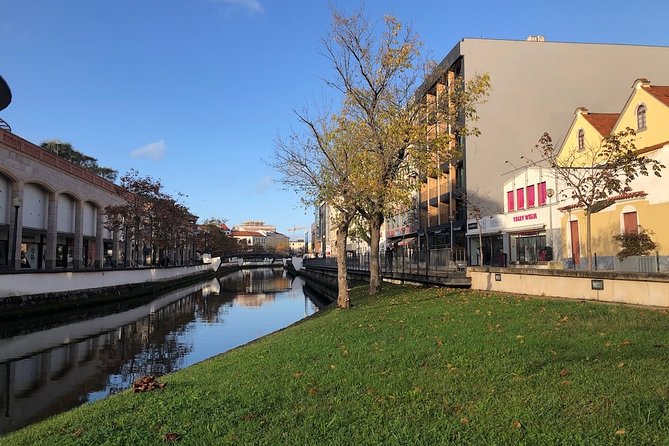 Aveiro Rent a Bike - 4 hours - Choosing the right bike: e-bike, tandem, child trailer, and more