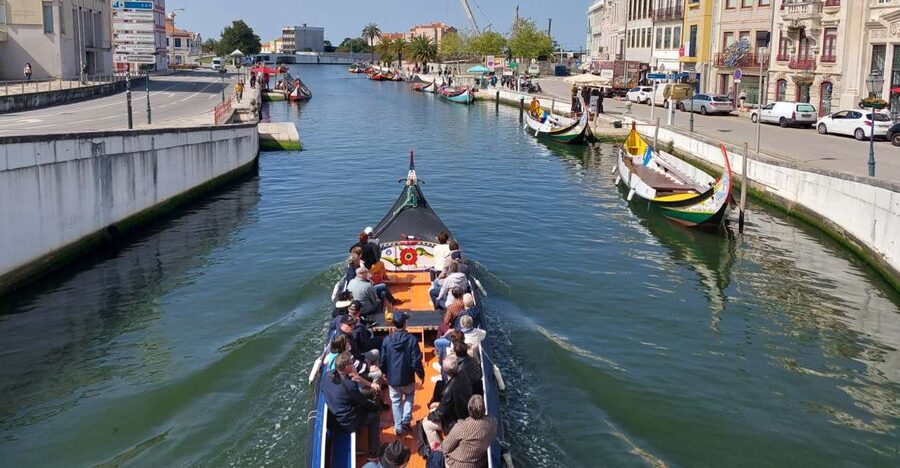 Aveiro: Stories, Canals, and Azulejos Guided Walking Tour - Rua de Coimbra, calçada portuguesa, and the tile stops that tell you where to look