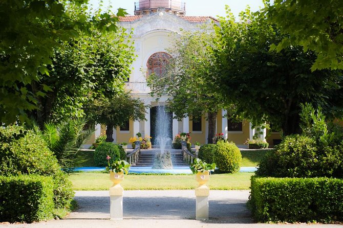 Bairrada Private Tour (Luso & Curia Villages) with Wine Tasting - Curia’s Hot Springs Break: A Soft Landing After Wine