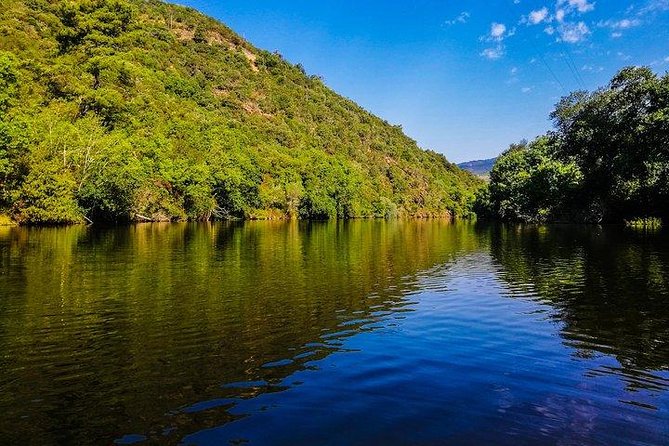 Best of Douro Valley Wine Full Day Private Tour - Key points before you go