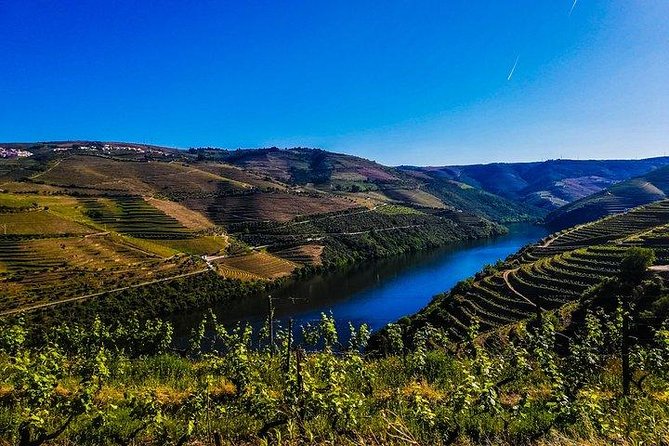 Best of Douro Valley Wine Full Day Private Tour - Stop 1 in Peso Da Regua: Port and dry wine tastings