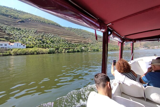Boat tour 50min through the river Douro in Pinhão - Why a 50-Minute Douro Cruise Works So Well in Pinhão