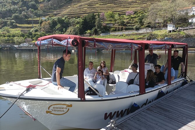 Boat tour 50min through the river Douro in Pinhão - Audio Guide and Language Options That Actually Help