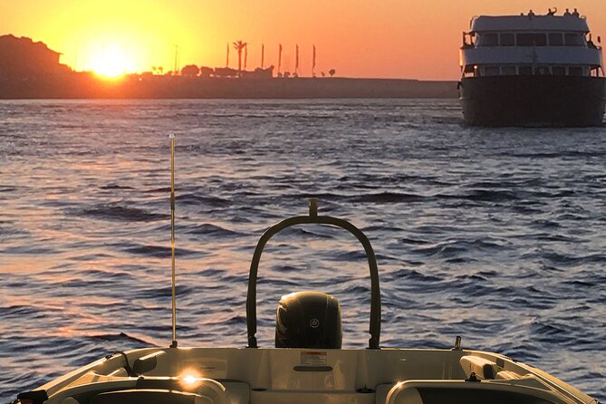 Boat Trip in Douro Porto - Price and value: what $161.95 gets you