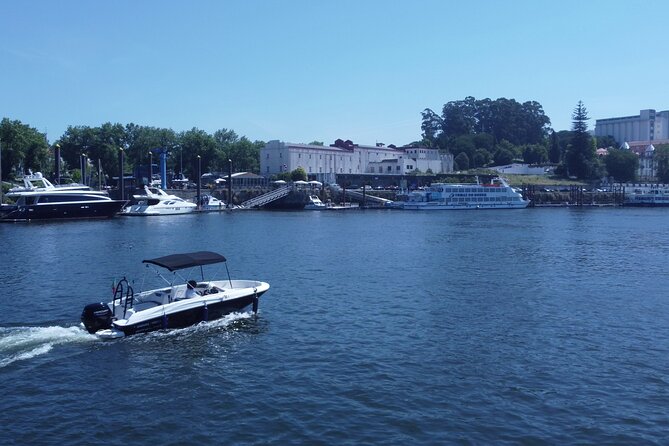 Boat Trip in Douro Porto - Stop 3: A peaceful stretch on the Douro River