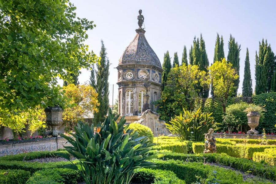 Braga: Flexible Walking Tour in Historic Center - Practical tips that make this walk smoother
