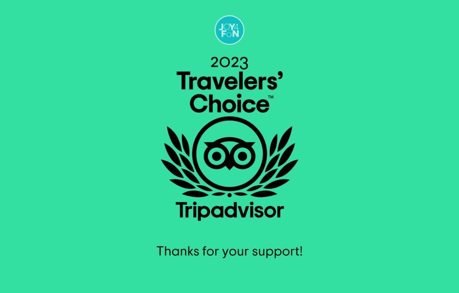 Braga: Tuk Tuk City Tour - Museums and culture you can place on a map: Pius XII, Biscainhos, and more